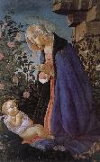 Sandro Botticelli Our Lady of the Son and the sleeping oil on canvas